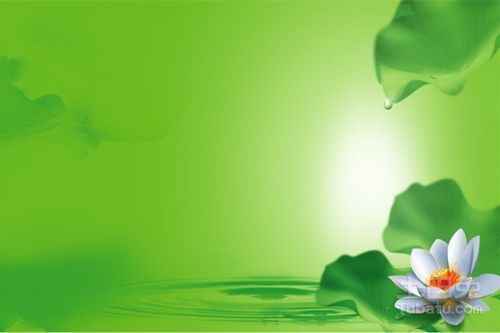 地球是我家,綠色環(huán)保小知識送大家